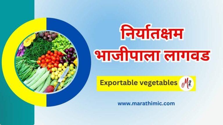 Exportable Vegetables